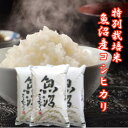 【予約】 令和7年産 新米 15kg 魚沼コシヒカリ 特別栽培米 コシヒカリ 新潟産コシヒカリ 魚沼産 コシヒカリ 新潟県産 コシヒカリ 魚沼産こしひかり コシ...