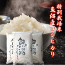 【予約】令和7年産 新米 魚沼産コシヒカリ 30kg こしひかり 魚沼産 魚沼 魚沼コシヒカリ 新潟県産コシヒカリ 新潟こしひかり 米 コメ お米 10キロ 3...