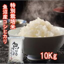 【予約】令和7年産 新米 10kg 魚沼産コシヒカリ 新潟産コシヒカリ 10kg 贈答用 米 コシヒカリ 新潟県産 魚沼産こしひかり 魚沼 こしひかり お米新潟...