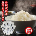 【予約】 令和7年産 新米 魚沼産コシヒカリ 1.8キロ こしひかり 【本州地区 送料無料】新潟産 新潟 コシヒカリ 新潟こしひかり 魚沼 特別栽培米 お米 3...