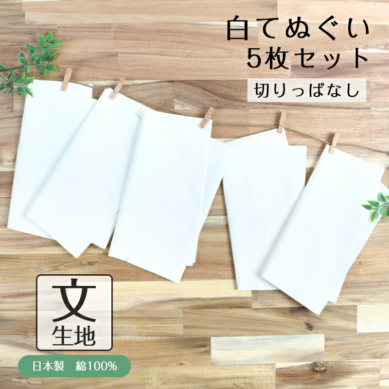 【6/4 20:00～6/11 01:59 10%OFF】白手ぬぐい 5枚セット 文生地 切りっぱなし 日本製 手拭い ふきんTE-9009-08