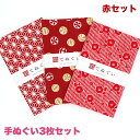 【0のつく日 24h限定 店内全品10%OFF】手ぬぐい 3枚セット 赤セット 日本製 手拭い 剣道 和雑貨 ハンカチ タオル 綿 ラッピング 熨斗 ふきん 洗顔 粗品 彩 irodori TE-X3-005