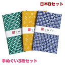 【お買い物マラソン 5のつく日限定 店内最大70%OFF さらに10%OFF】手ぬぐい 3枚セット 日本Bセット 日本製 手拭い 剣道 和雑貨 ハンカチ タオル 綿 ラッピング 熨斗 ふきん 洗顔 粗品 彩 irodori TE-X3-009