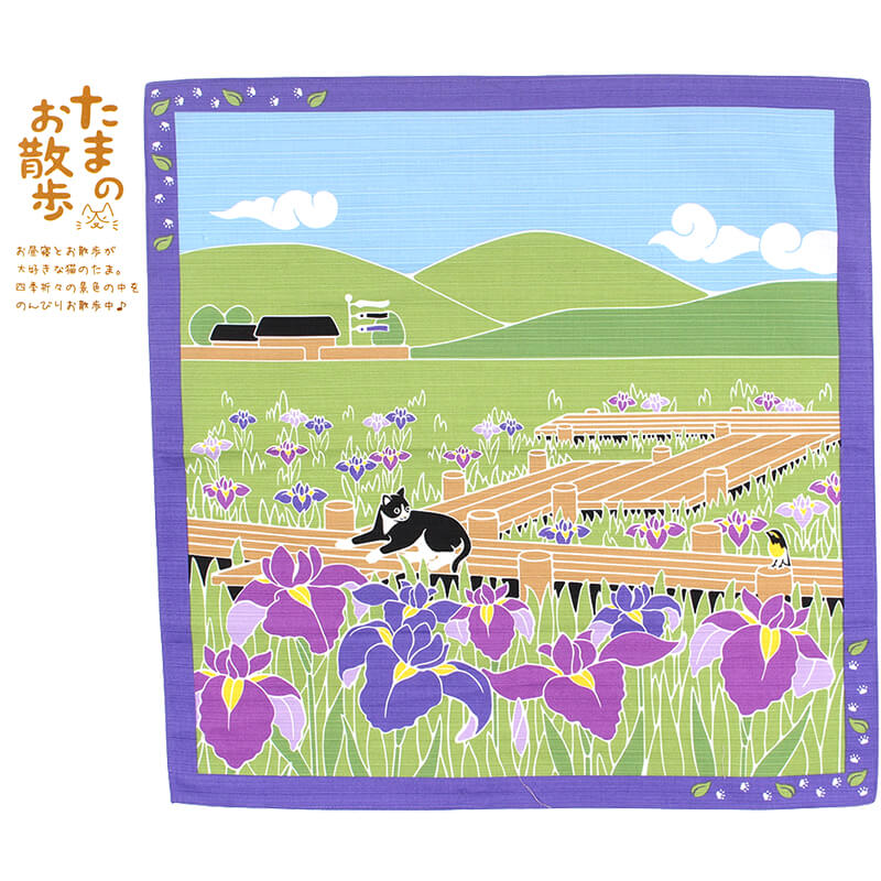 花菖蒲 5月 小風呂敷 たまのお散歩 前田染工 猫 春 あやめ 中巾 約50×50cm MSTO-005【メール便6点まで】