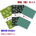 【お買い物マラソン 5のつく日限定 店内最大70%OFF さらに10%OFF】手ぬぐい 端がほつれない 3枚セット 縁起(緑)セット 日本製 手拭い 剣道 和雑貨 ハンカチ タオル 綿 ラッピング 熨斗 ふきん 洗顔 粗品 彩 irodori TE-X3-019M