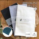 【5のつく日 24h限定 店内全品10%OFF】手ぬぐい 無地 3枚セット B 日本製 ハンカチ タオル TE-X3-021