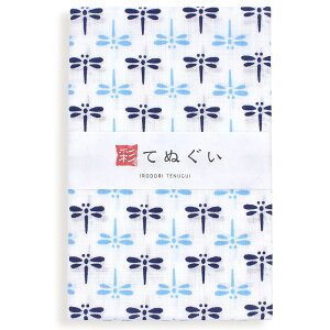 手ぬぐい 5枚セット ベーシック柄1 日本製 手拭い 和雑貨 ハンカチ タオル 綿 ラッピング 熨斗 ふきん 洗顔 粗品 彩 irodori TE-X5-06007-IR【メール便1点まで】格安セール 年賀状印刷 年賀状作成ソフト セール