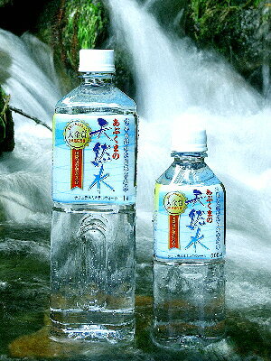 「国際最高品質賞受賞「あぶくまの天然水」2箱(1L×20本)【あす楽対応】【送料無料】（沖縄・北海道を除く）