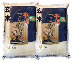 【令和4年産】新潟県産特選コシヒカリ［玄米］10kg（5kg×2袋）