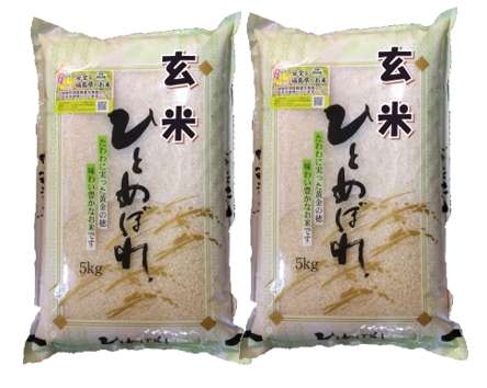 【令和5年産】福島県会津産ひとめぼれ［玄米］10kg（5kg×2袋）[石抜き処理済]