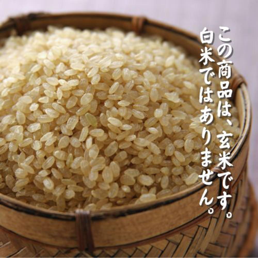 【令和3年産】福島県産ミルキークイーン［玄米］30kg（5kg×6袋）[石抜き処理済]