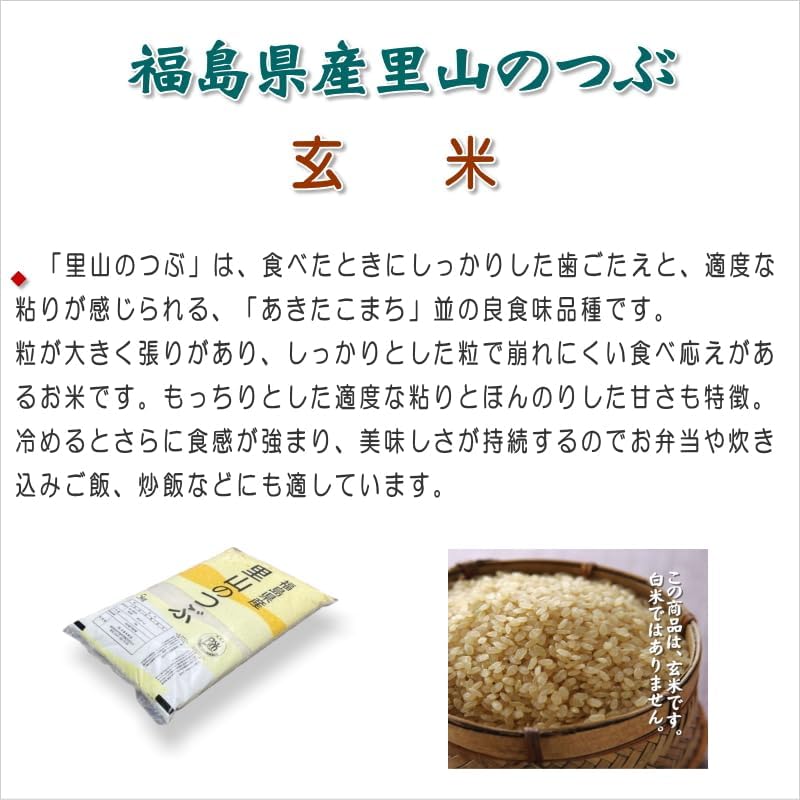 粒が大きく張りがあり、しっかりとした粒で崩れにくい食べ応えがあるお米です　【令和7年産】福島県産　里山のつぶ【玄米】20kg（5kg×4袋）