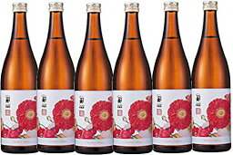 大木代吉本店 福島県 こんにちは料理酒 720ml6本セット