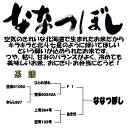 令和5年産　玄米　5kg　ななつぼし　北海道　送料無料 3