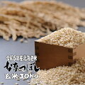 【２９年産】【新米】北海道産ななつぼし玄米３０ｋｇ