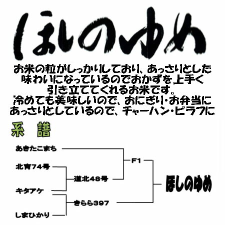 令和5年産　白米　10kg　ほしのゆめ 5kg×2　北海道　送料無料 2