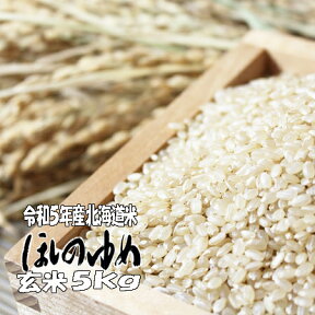 令和5年産　玄米　5kg　ほしのゆめ　北海道　送料無料