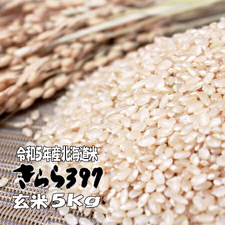 令和5年産 玄米 5kg きらら397 北海道米 送料無料