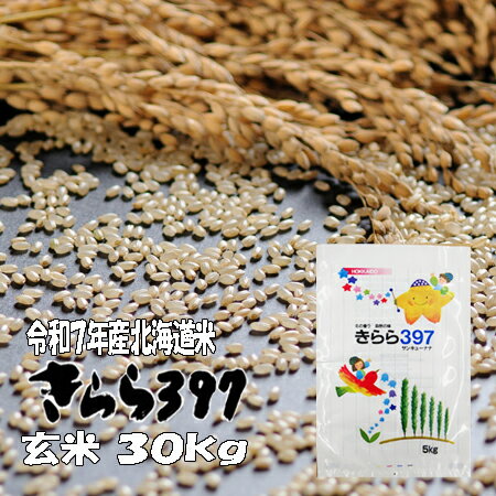 【新米】令和7年産 玄米 30kg きらら397 北海道 送料無料 精米無料