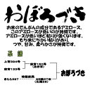 おためし　令和5年産　おぼろづき450g　メール便　北海道米 2