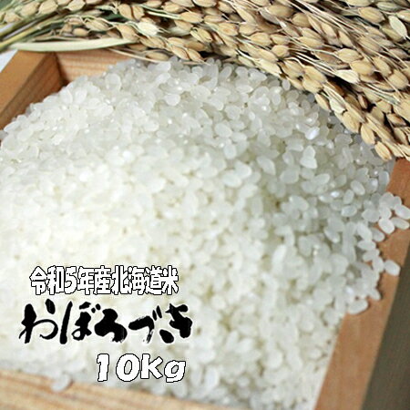 令和5年産　白米　10kg　おぼろづき 5kg×2　北海道　送料無料　楽ギフ_のし　楽ギフ_のし宛書