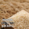 【２８年産】【新米】北海道産ゆめぴりか玄米３０ｋｇ【送料無料】