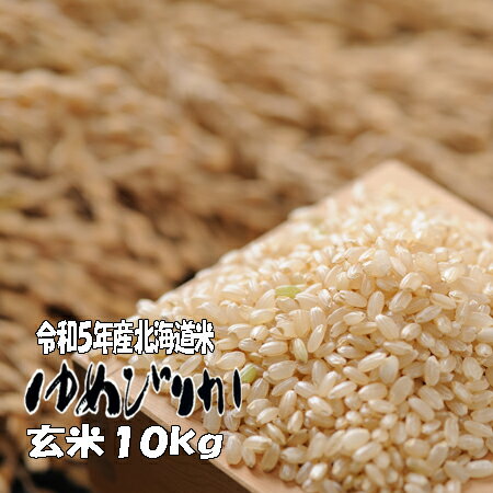 令和5年産　玄米　10kg　ゆめぴりか 5kg×2　北海道　送料無料