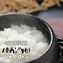 令和6年産 白米 10kg ゆめぴりか 5kg×2 北海道 送料無料【楽ギフ_のし】【楽ギフ_のし宛書】