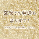 新潟県産 コシヒカリ（ 令和5年産 ） 10kg （5kg×2袋）【 送料無料 】 2