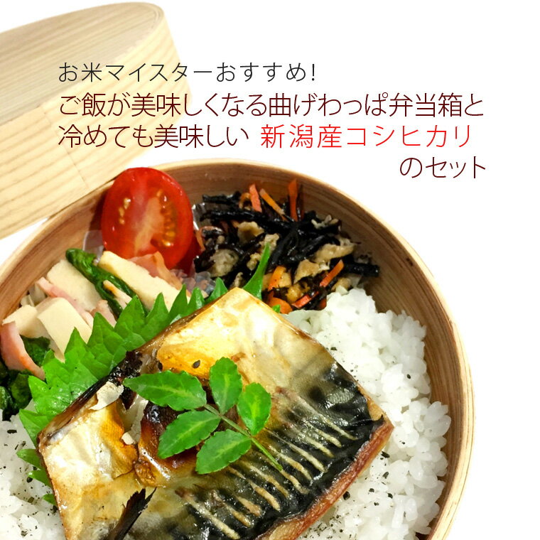 ご飯が美味しくなる！曲げわっぱ弁当箱と冷めても美味しい新潟産コシヒカリ300gのセット 送料無料