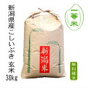 【 一等米 】新潟県産 こしいぶき （ 令和5年産 ）玄米 30kg 【 精米 無料 】【 送料無料 】