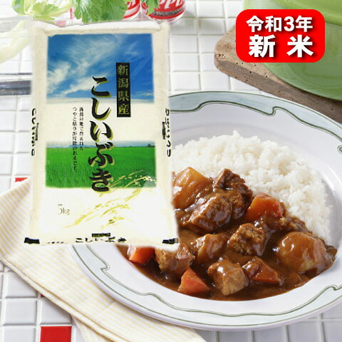 【新米】新潟県産こしいぶき（令和3年産）5kg【送料無料】