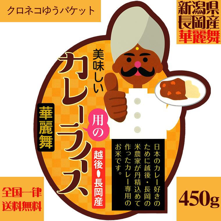 新潟県 長岡産 美味しいカレー用のライス（令和4年産）3合（450g） 送料無料