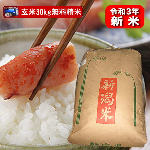 新米令和3年【新米予約】新潟県産ミルキークイーン（令和3年産）玄米30kg【精米無料...