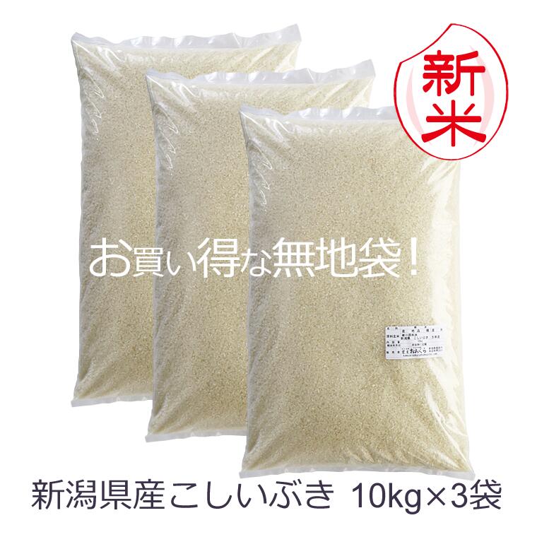 お米 30kg 新米 新潟県産 こしいぶき （ 令和5年産 ） 30kg （10kg...