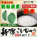 新米 30年産【無洗米(乾式)】新潟県産コシヒカリ(平成30...