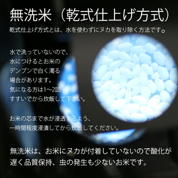 【無洗米（乾式）】新潟県産コシヒカリ（令和元年産）5kg【送料無料】