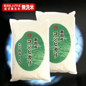 【無洗米（乾式）】新潟県産コシヒカリ（令和元年産）10kg【送料無料】