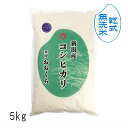 【 無洗米 ( 乾式 )】 新潟県産 コシヒカリ( 令和6年産 ) 5kg 【 送料無料 】