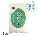 【 無洗米 （ 乾式 ）】 新潟県産 コシヒカリ（ 令和5年産 ） 5kg 【 送料無料 】