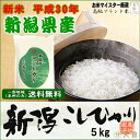 新米 30年産 新潟県産コシヒカリ(平成30年産)5kg【送...