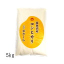 （ 南魚沼産 ） 魚沼産 コシヒカリ （ 令和5年産 ） 5kg 【 送料無料 】