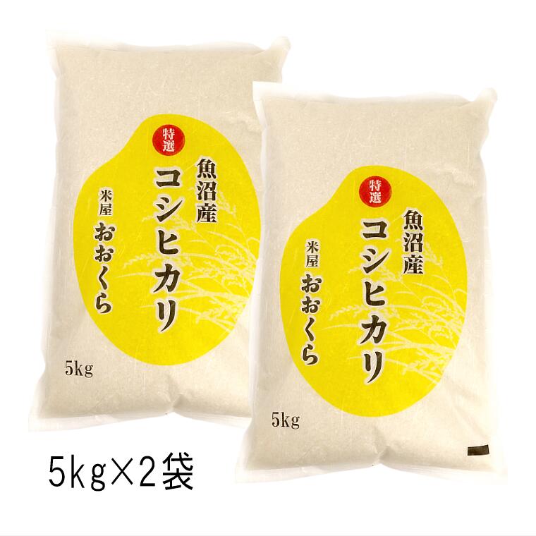 お米 10kg 魚沼産 コシヒカリ （ 特選 ）（ 令和5年産 ） 10kg （5kg×2袋） 【 送料無料 】