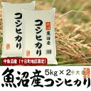 中魚沼産コシヒカリ(平成29年産) 10kg(十日町地区限定米)【送料無料(本州のみ)】
