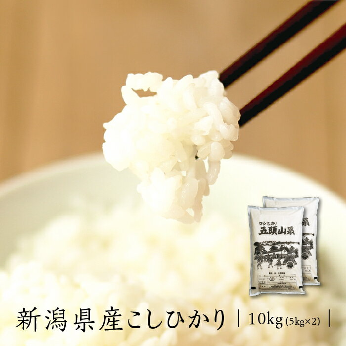 米 令和5年 美味しいお米 米 10kg 送料無料 コシヒカ