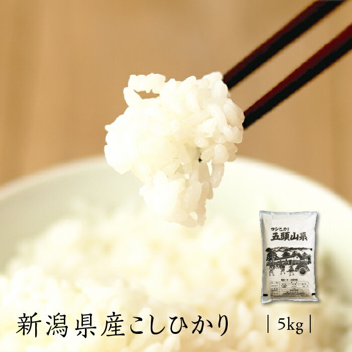 米 お米 5kg コシヒカリ