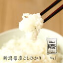 米 米 5kg コシヒカリ 新潟県産 五頭山系 お米 送料無料 5キロ 新潟産 こしひかり 新潟 令和6年 単一原料 美味しいお米 おいしいお米 白米 精米 食...