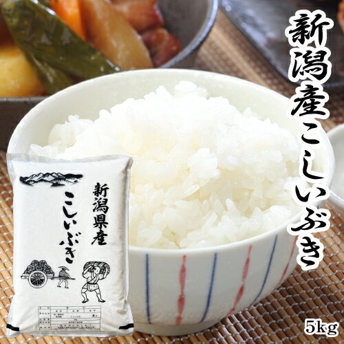 米 新潟県産 こしいぶき 5kg 令和5年 送料無料 新潟産 美味しい米 おいしいお米 こめ お米 5キロ 新潟 新潟米 おいしい米 あす楽 食品 ご飯 ごはん こしひかりよりもあっさり 甘み つやつや 美味しい おいしい 粘りは少ない 当店人気 安い 美味しい米 新米