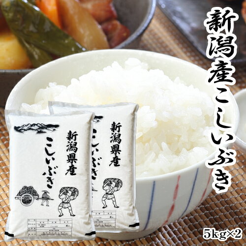 米 新潟県産 こしいぶき 5kg×2 10kg 令和5年産 送料無料 美味しいお米 おいしい米 10キロ 新潟 こしいぶき お米 新潟産 こめ 新潟米 おいしいお米 あす楽 新米 ご飯 ごはん こしひかりよりもあっさり 甘み つやつや 美味しい おいしい 粘りは少ない 安い 出荷早い 美味しい