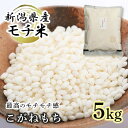 もち米 令和5年 米 こがねもち 5kg もちごめ 送料無料 あす楽 5キロ 新潟県産 コガネモチ 餅米 新潟 粘りが強い もちもち 最高級 もち米 精米 米 お米 コメ おこわ 赤飯 食品 食べ物 もち 送料無料 直送 産直 精米したて 美味しい 伸びが良い